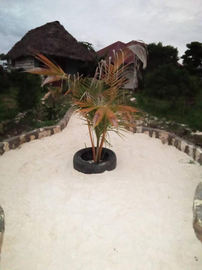 Marashi Villa Nungwi Exterior foto